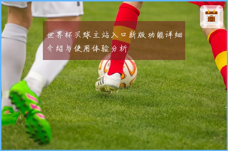 世界杯买球主站入口新版功能详细介绍与使用体验分析