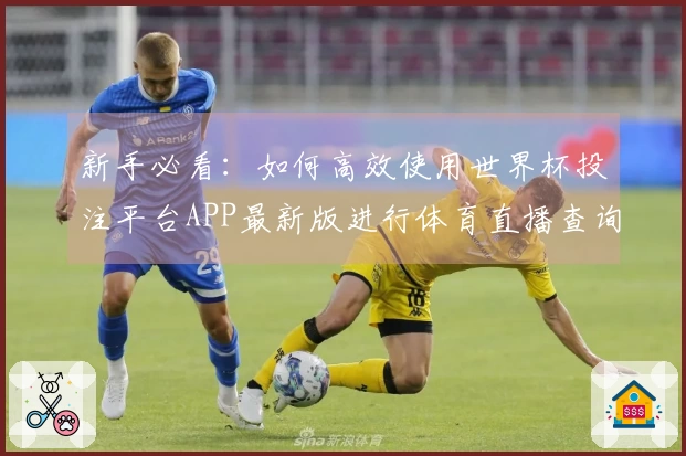 新手必看：如何高效使用世界杯投注平台APP最新版进行体育直播查询