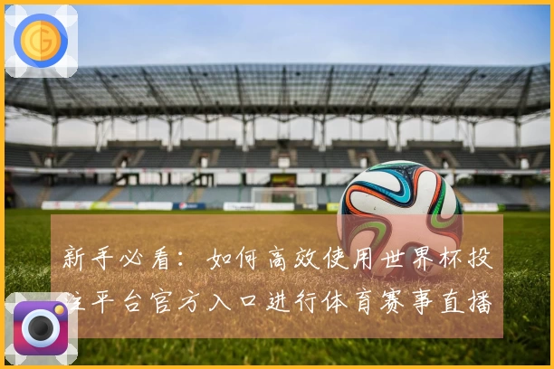 新手必看：如何高效使用世界杯投注平台官方入口进行体育赛事直播