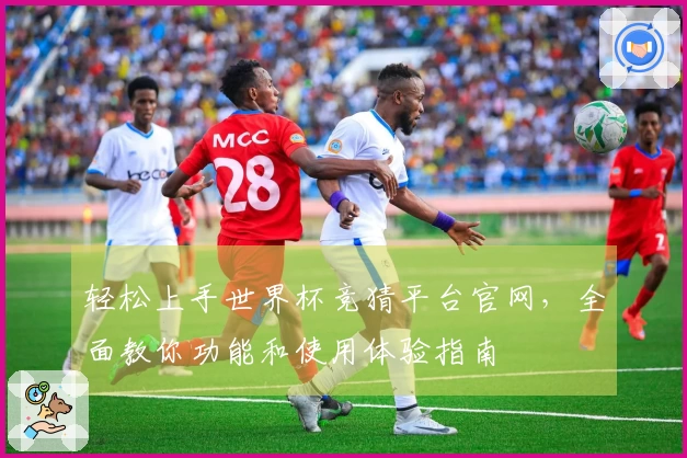 轻松上手世界杯竞猜平台官网，全面教你功能和使用体验指南