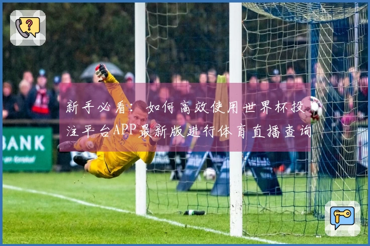 新手必看：如何高效使用世界杯投注平台APP最新版进行体育直播查询
