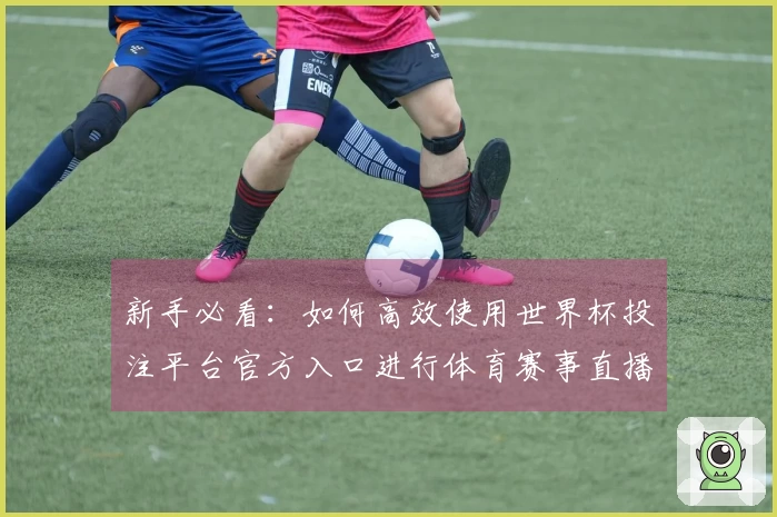 新手必看：如何高效使用世界杯投注平台官方入口进行体育赛事直播